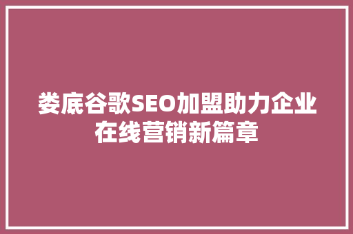 娄底谷歌SEO加盟助力企业在线营销新篇章