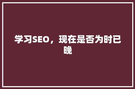 学习SEO，现在是否为时已晚