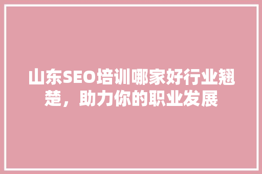 山东SEO培训哪家好行业翘楚，助力你的职业发展