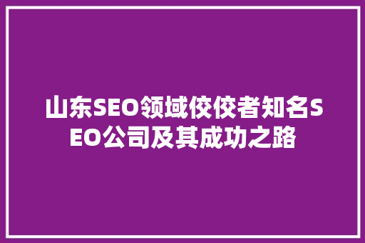 山东SEO领域佼佼者知名SEO公司及其成功之路