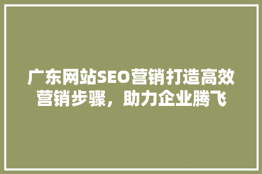广东网站SEO营销打造高效营销步骤，助力企业腾飞