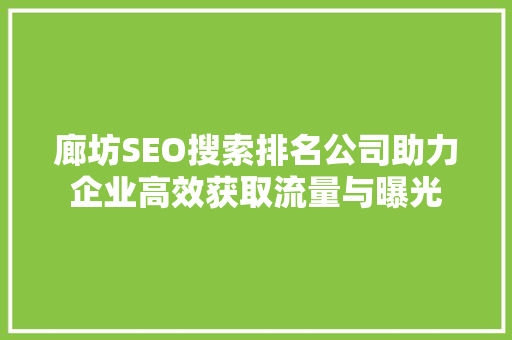 廊坊SEO搜索排名公司助力企业高效获取流量与曝光