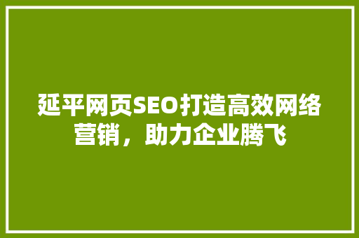 延平网页SEO打造高效网络营销，助力企业腾飞