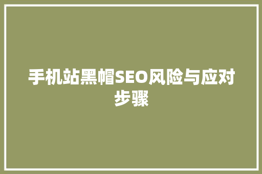 手机站黑帽SEO风险与应对步骤