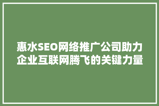 惠水SEO网络推广公司助力企业互联网腾飞的关键力量