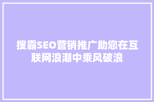 搜霸SEO营销推广助您在互联网浪潮中乘风破浪