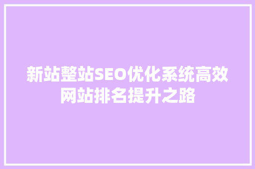 新站整站SEO优化系统高效网站排名提升之路