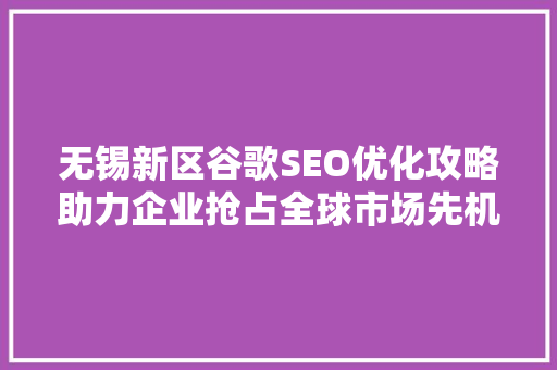 无锡新区谷歌SEO优化攻略助力企业抢占全球市场先机