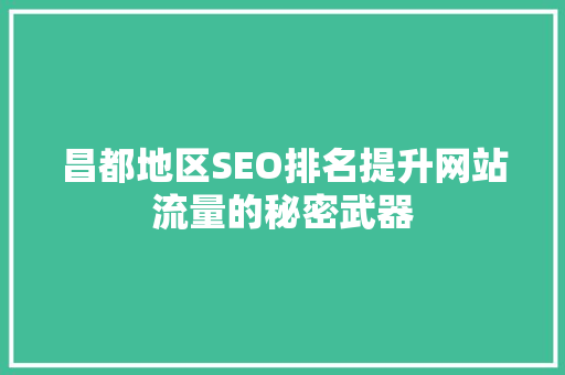 昌都地区SEO排名提升网站流量的秘密武器