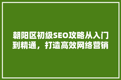 朝阳区初级SEO攻略从入门到精通，打造高效网络营销步骤