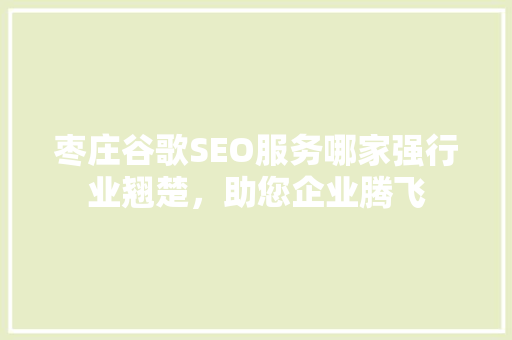 枣庄谷歌SEO服务哪家强行业翘楚，助您企业腾飞