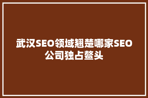 武汉SEO领域翘楚哪家SEO公司独占鳌头