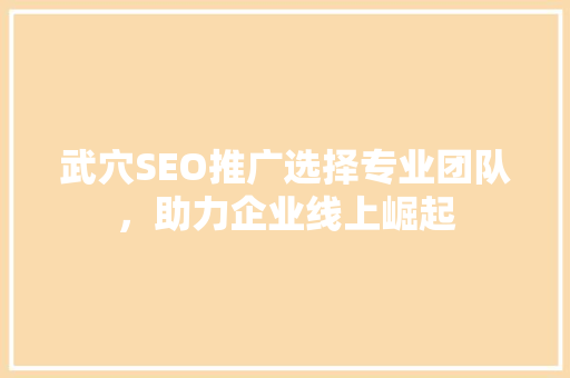 武穴SEO推广选择专业团队，助力企业线上崛起
