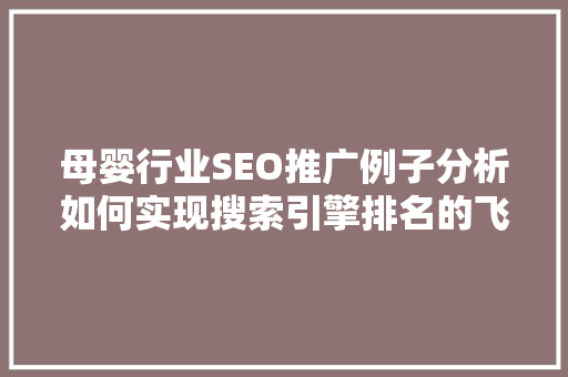 母婴行业SEO推广例子分析如何实现搜索引擎排名的飞跃