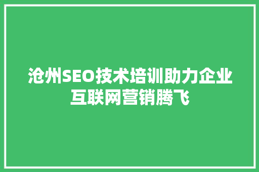 沧州SEO技术培训助力企业互联网营销腾飞