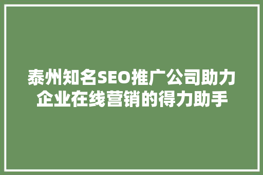 泰州知名SEO推广公司助力企业在线营销的得力助手