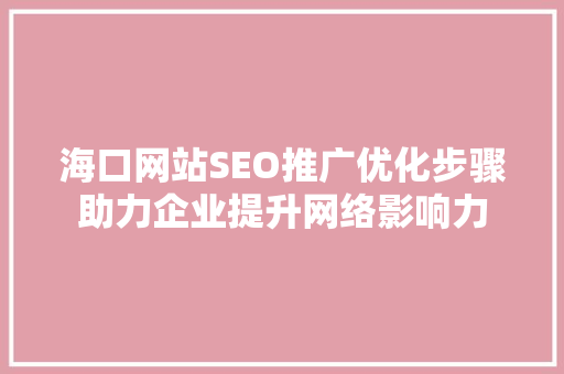 海口网站SEO推广优化步骤助力企业提升网络影响力
