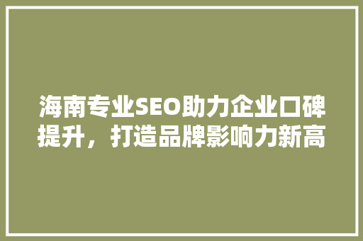 海南专业SEO助力企业口碑提升，打造品牌影响力新高度