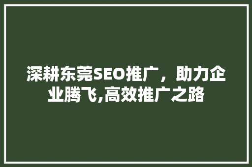 深耕东莞SEO推广，助力企业腾飞,高效推广之路