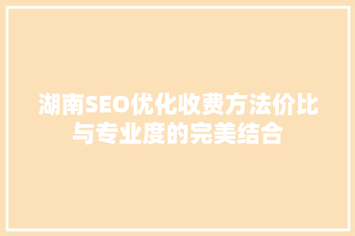 湖南SEO优化收费方法价比与专业度的完美结合
