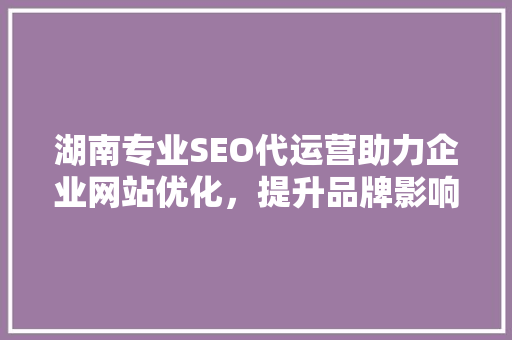 湖南专业SEO代运营助力企业网站优化，提升品牌影响力