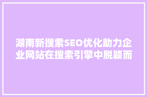湖南新搜索SEO优化助力企业网站在搜索引擎中脱颖而出