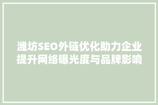 潍坊SEO外链优化助力企业提升网络曝光度与品牌影响力