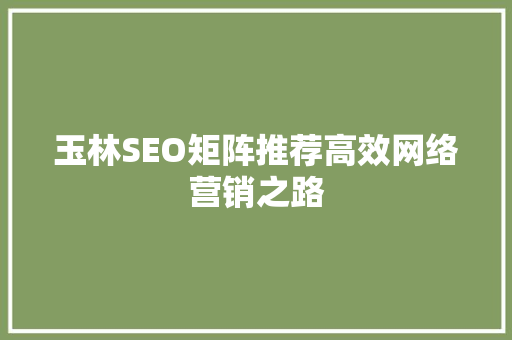 玉林SEO矩阵推荐高效网络营销之路