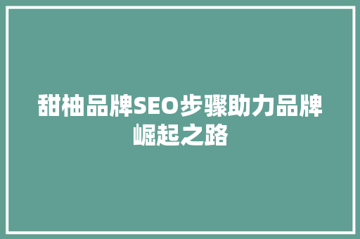 甜柚品牌SEO步骤助力品牌崛起之路
