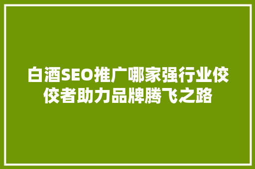 白酒SEO推广哪家强行业佼佼者助力品牌腾飞之路