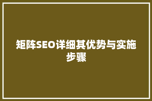 矩阵SEO详细其优势与实施步骤