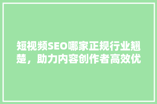 短视频SEO哪家正规行业翘楚，助力内容创作者高效优化