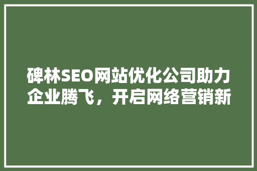 碑林SEO网站优化公司助力企业腾飞，开启网络营销新篇章