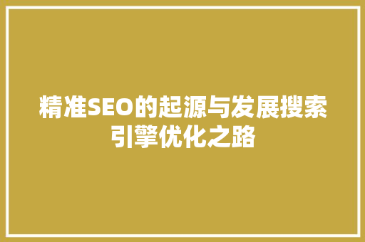 精准SEO的起源与发展搜索引擎优化之路