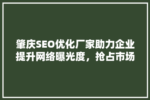 肇庆SEO优化厂家助力企业提升网络曝光度，抢占市场先机