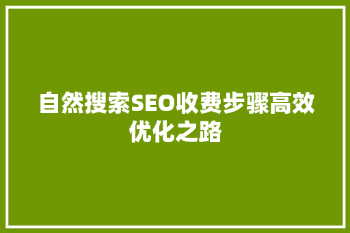自然搜索SEO收费步骤高效优化之路