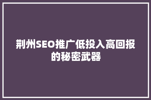 荆州SEO推广低投入高回报的秘密武器