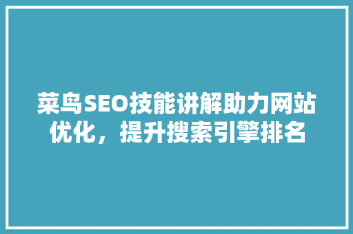 菜鸟SEO技能讲解助力网站优化，提升搜索引擎排名