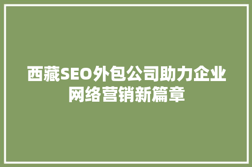西藏SEO外包公司助力企业网络营销新篇章