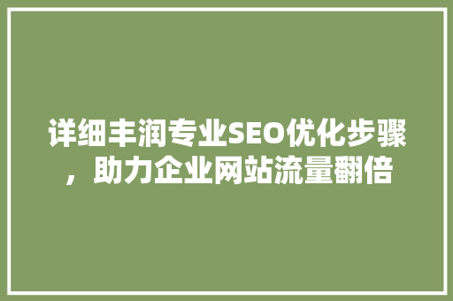 详细丰润专业SEO优化步骤，助力企业网站流量翻倍