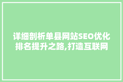 详细剖析单县网站SEO优化排名提升之路,打造互联网时代区域品牌新标杆
