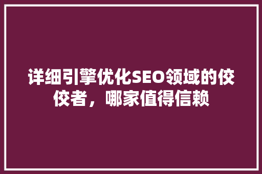 详细引擎优化SEO领域的佼佼者，哪家值得信赖