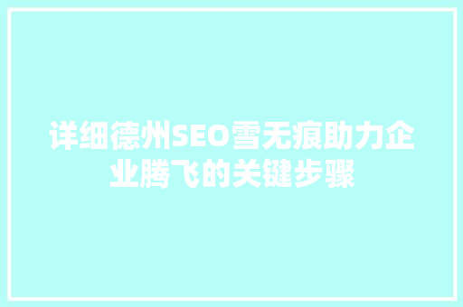 详细德州SEO雪无痕助力企业腾飞的关键步骤