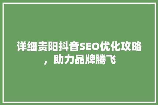 详细贵阳抖音SEO优化攻略，助力品牌腾飞