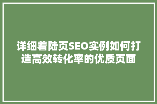 详细着陆页SEO实例如何打造高效转化率的优质页面