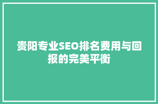 贵阳专业SEO排名费用与回报的完美平衡