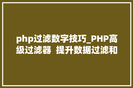php过滤数字技巧_PHP高级过滤器  提升数据过滤和验证的能力