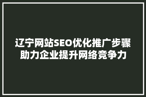 辽宁网站SEO优化推广步骤助力企业提升网络竞争力