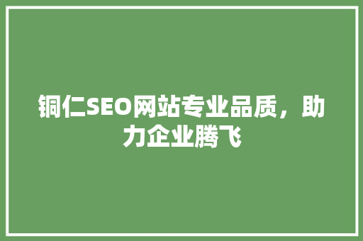 铜仁SEO网站专业品质，助力企业腾飞
