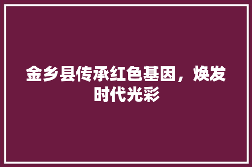金乡县传承红色基因，焕发时代光彩